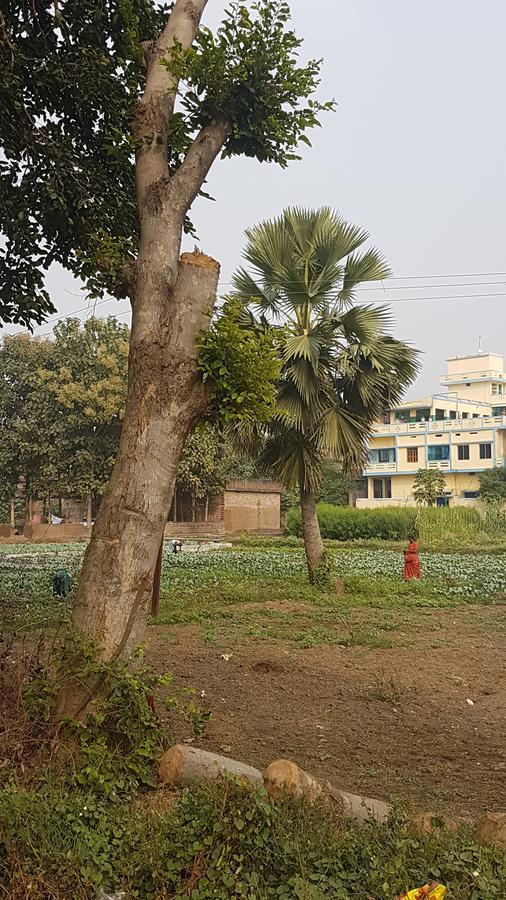 Ansari House Lejlighed Bodh Gaya Eksteriør billede