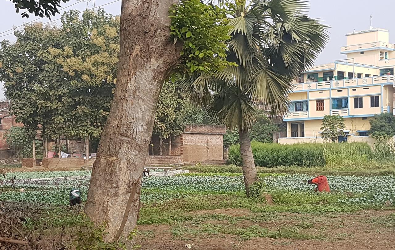 Ansari House Lejlighed Bodh Gaya Eksteriør billede