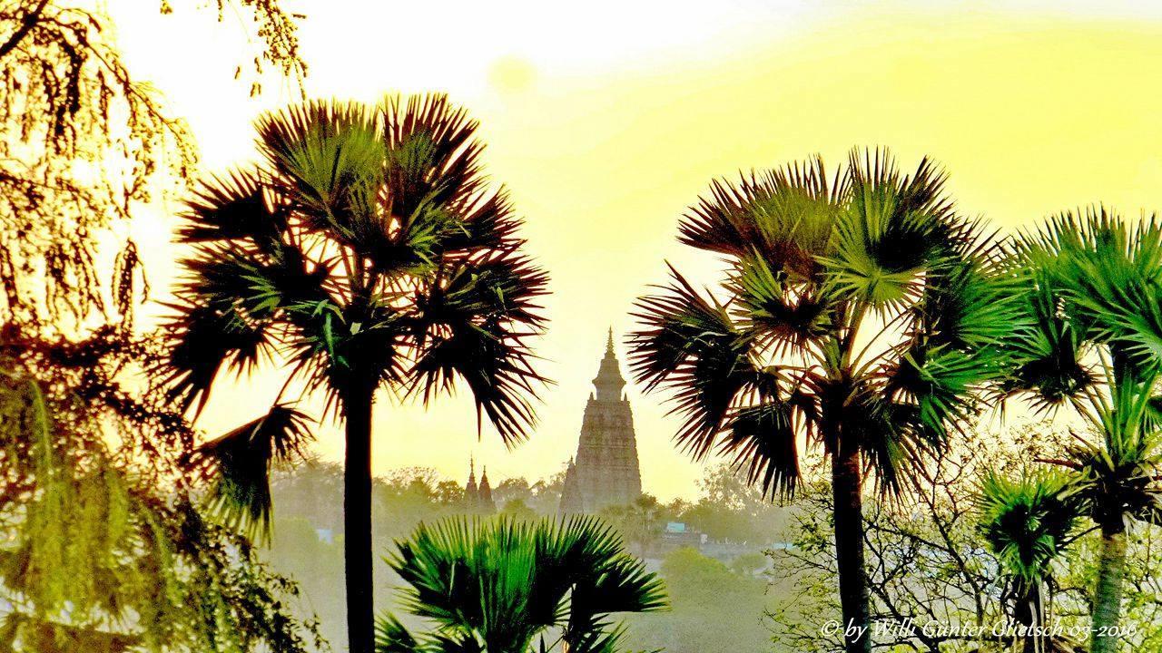 Ansari House Lejlighed Bodh Gaya Eksteriør billede