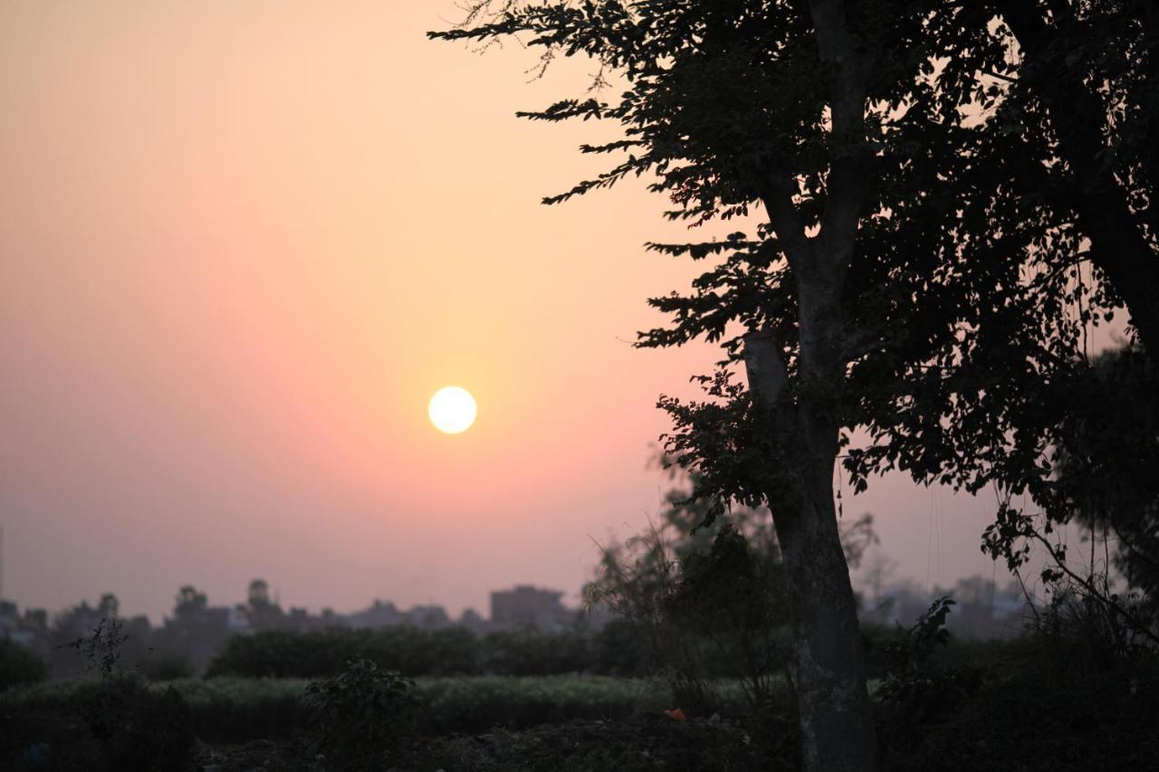 Ansari House Lejlighed Bodh Gaya Eksteriør billede